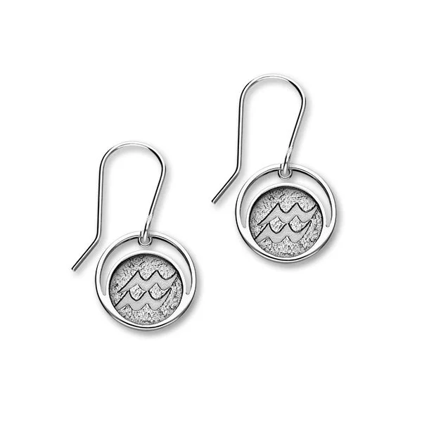 Zodiac Silver Earrings E1837 Aquarius